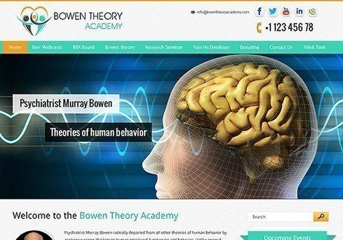 Bowen Theory Academy